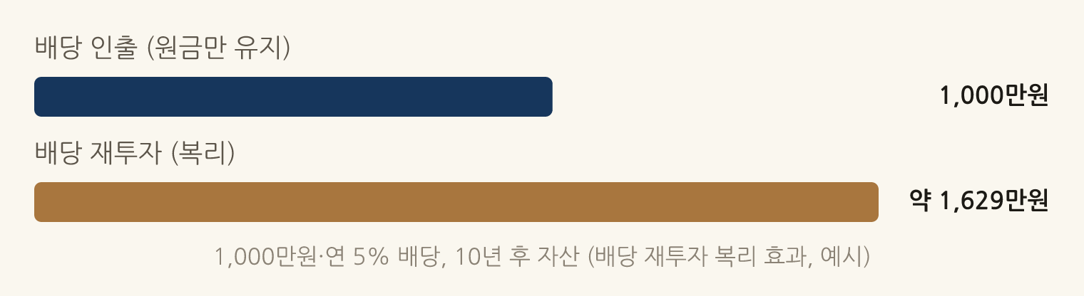 1,000만원·연 5% 배당, 10년 후 자산 (배당 재투자 복리 효과, 예시): 배당 인출 (원금만 유지) 1,000만원, 배당 재투자 (복리) 약 1,629만원