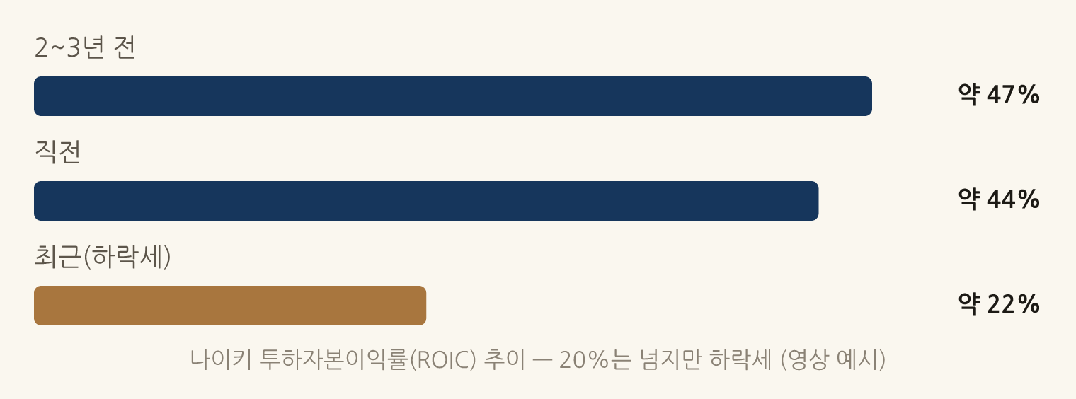 나이키 투하자본이익률(ROIC) 추이 — 20%는 넘지만 하락세 (영상 예시): 2~3년 전 약 47%, 직전 약 44%, 최근(하락세) 약 22%